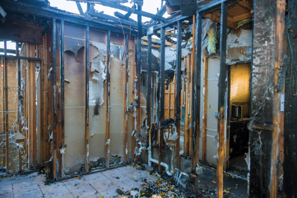 Professional Smoke Damage Removal technician working in Elk Creek, KY